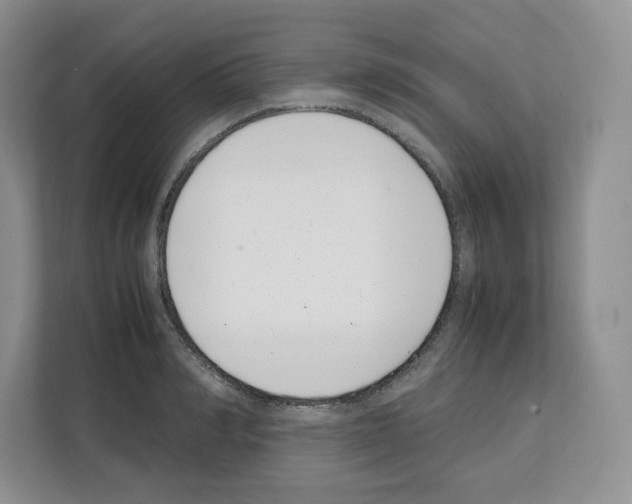 X0000111660990200908281106