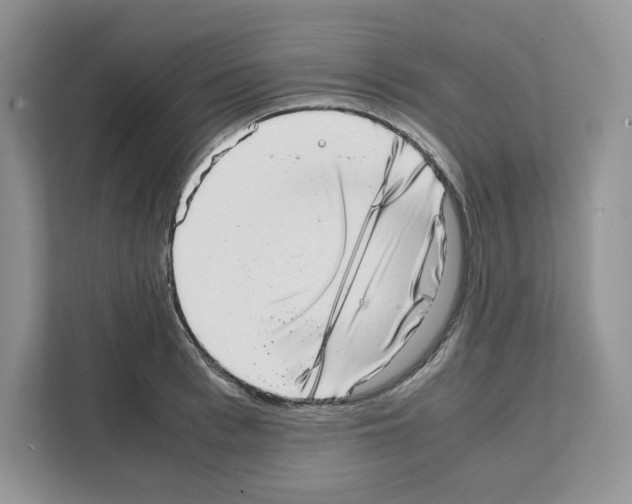 X0000111660993200908281106