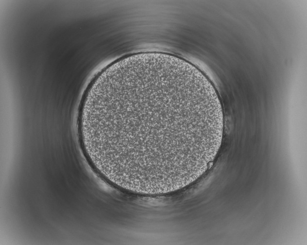 X0000111660995200908281106