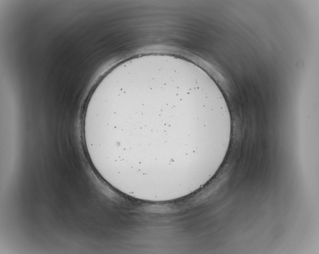 X0000111660998200908281106