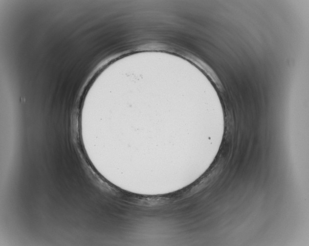 X0000111661000200908281106