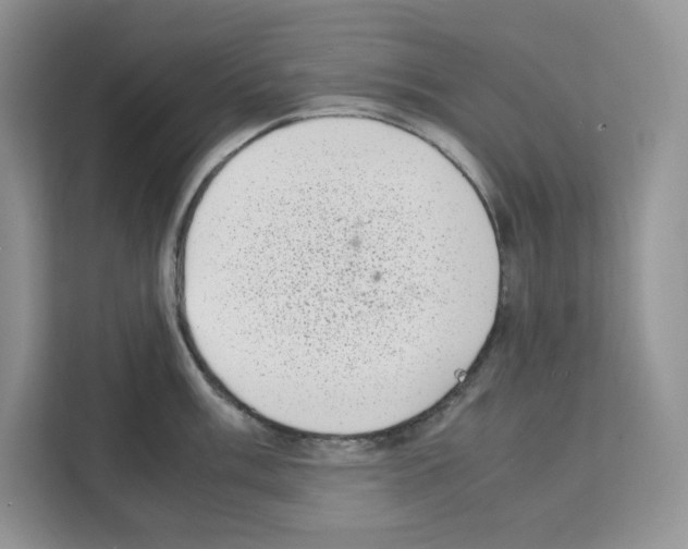 X0000111661003200908281106