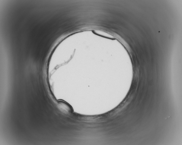 X0000111661005200908281105