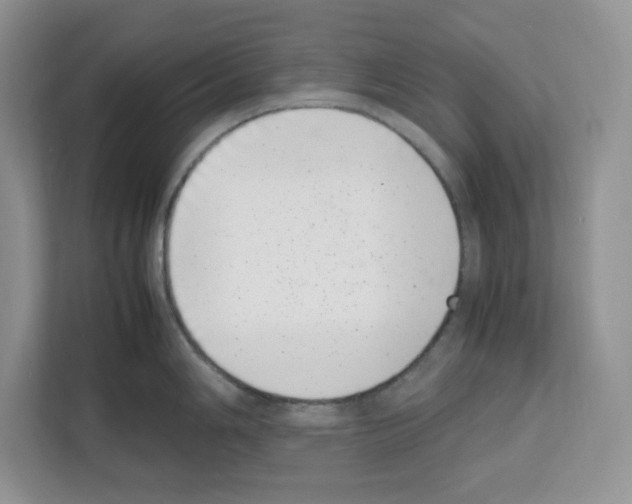 X0000111661006200908281105