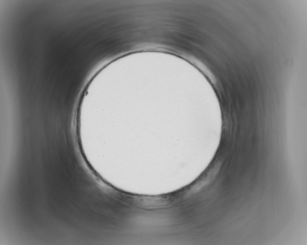 X0000111661007200908281105