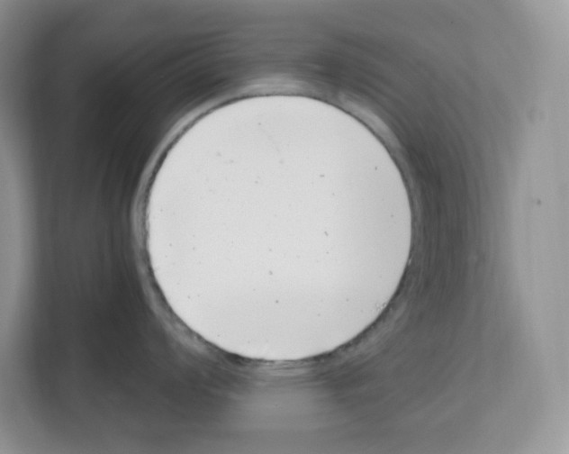 X0000111661008200908281105