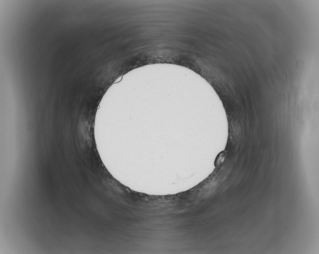 X0000111661010200908281105