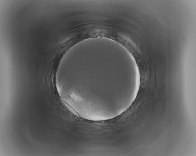 X0000111661013200908281105