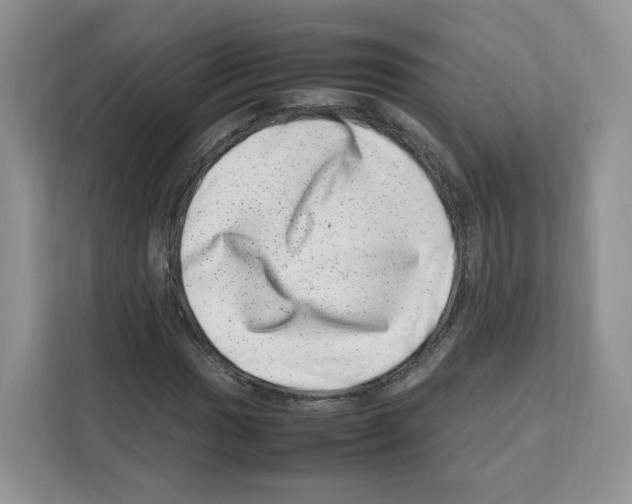 X0000111661017200908281105