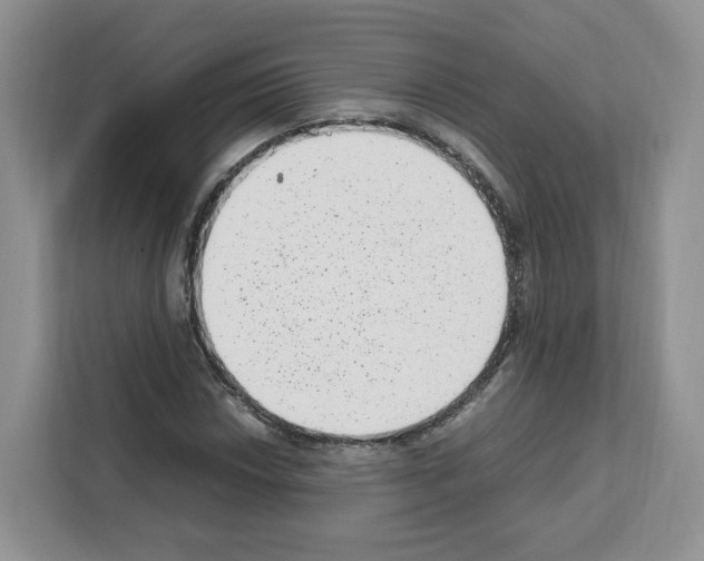 X0000111661018200908281105