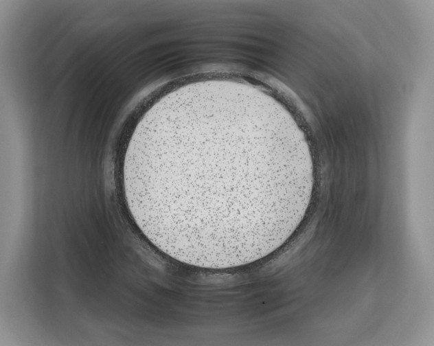 X0000111661019200908281105