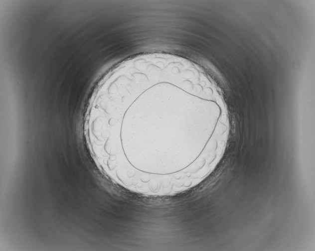 X0000111661020200908281105