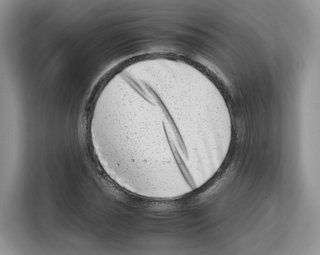 X0000111661021200908281105