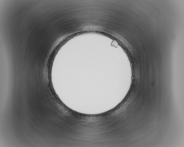 X0000111661022200908281105