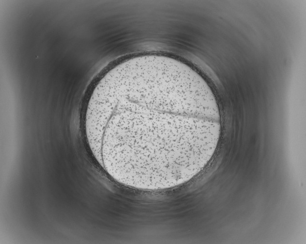 X0000111661023200908281105