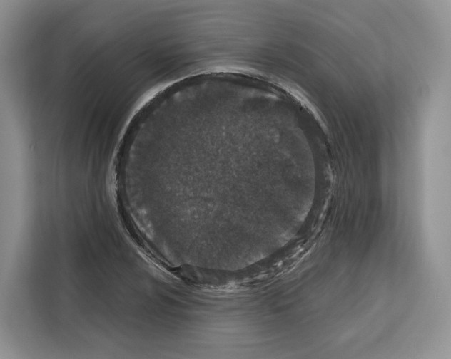 X0000111661024200908281105