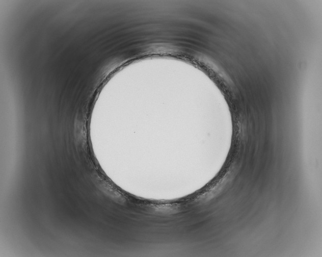 X0000111661025200908281105