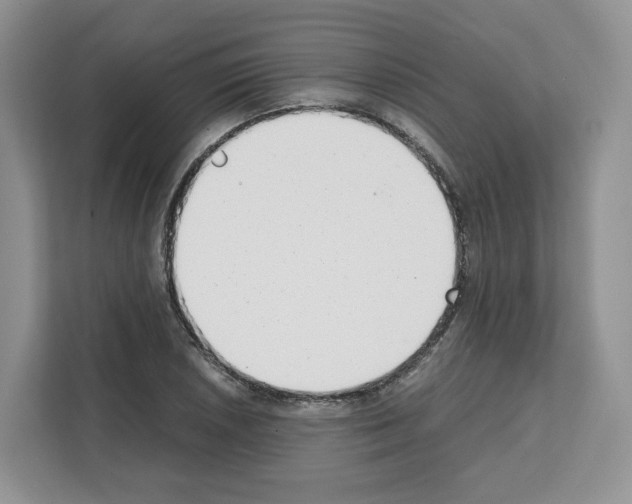 X0000111661026200908281105