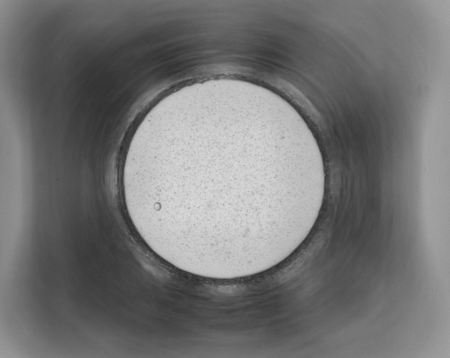 X0000111661031200908281105