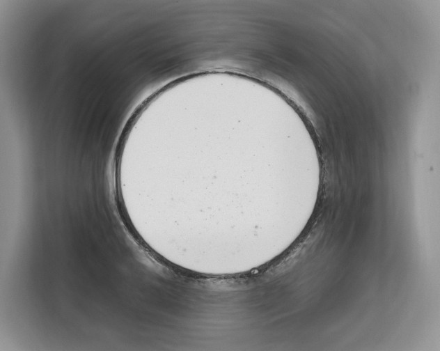 X0000111661032200908281105