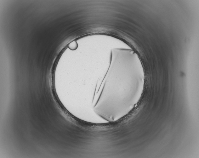 X0000111661034200908281105