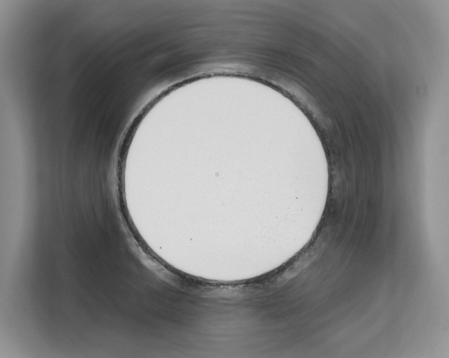 X0000111661038200908281105