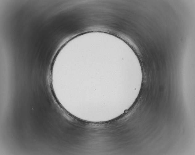 X0000111661040200908281105