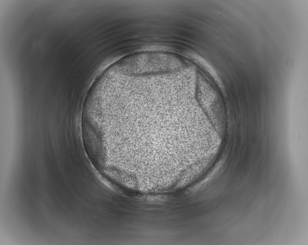 X0000111661041200908281105