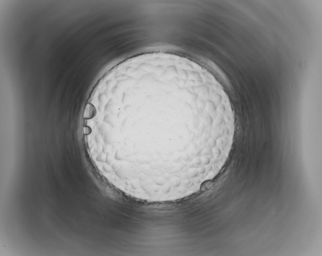 X0000111661044200908281105