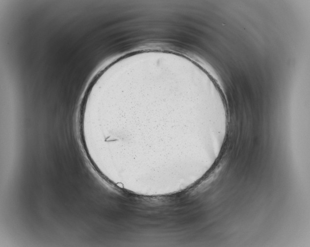 X0000111661045200908281105