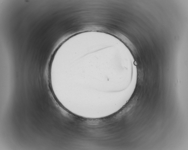 X0000111661046200908281105