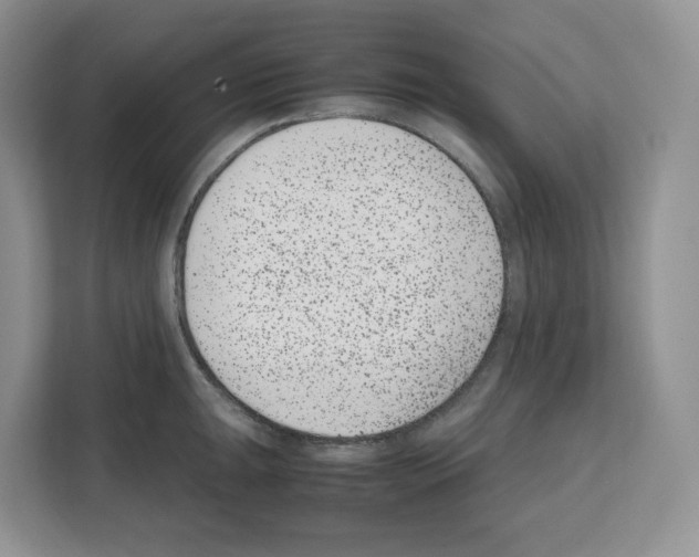 X0000111661047200908281105