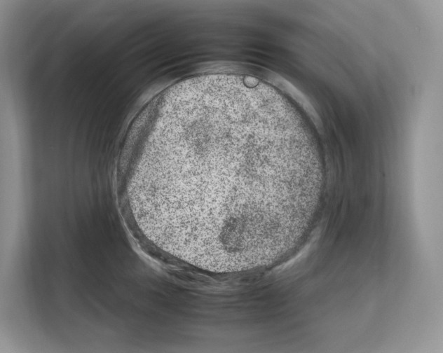 X0000111661049200908281105