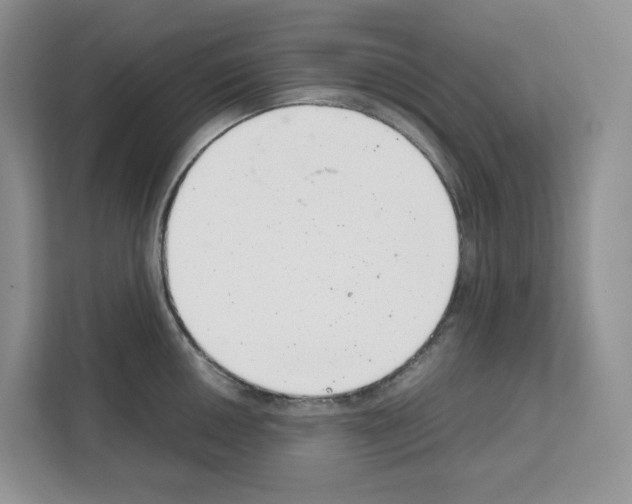 X0000111661050200908281105