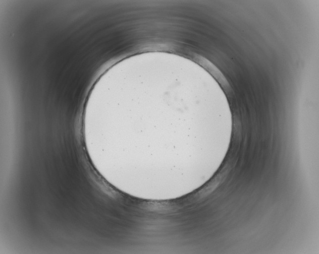 X0000111661052200908281105