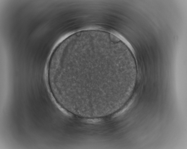 X0000111661053200908281105