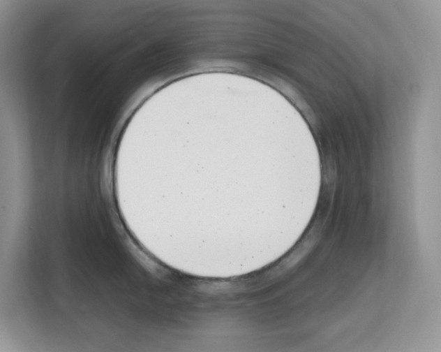 X0000111661054200908281105