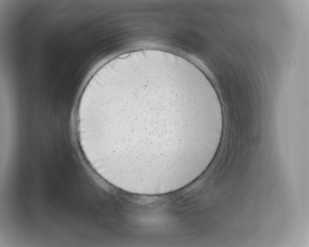 X0000111661056200908281105