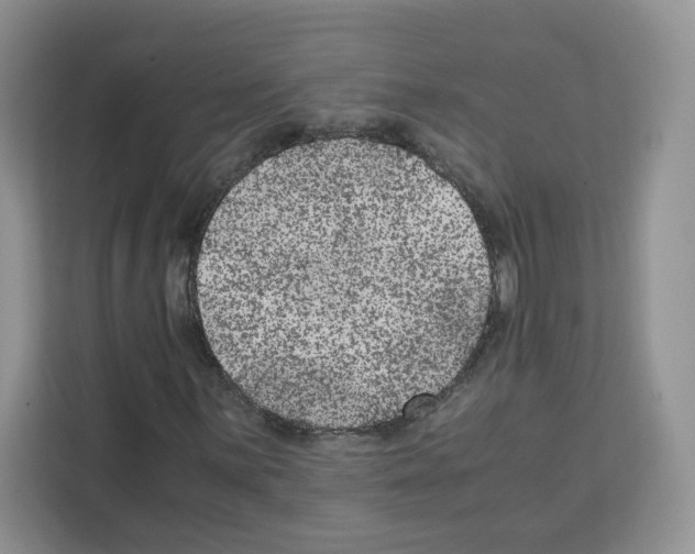 X0000111661059200908281105