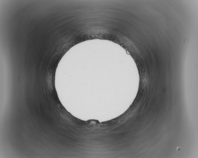 X0000111661060200908281105