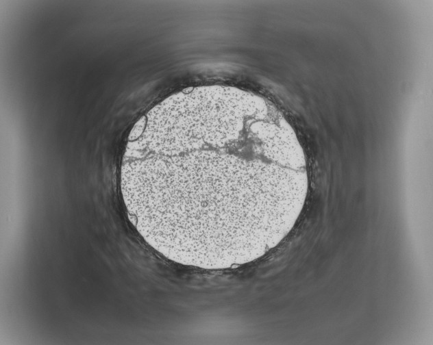 X0000111661061200908281105