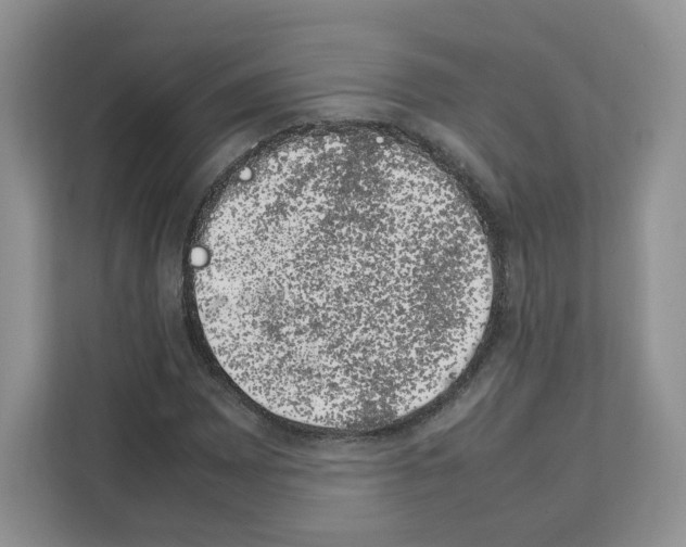 X0000111661065200908281105