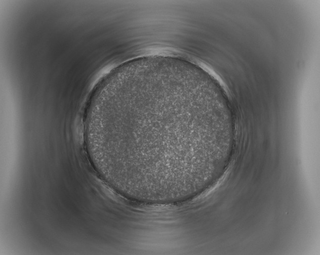 X0000111661067200908281105