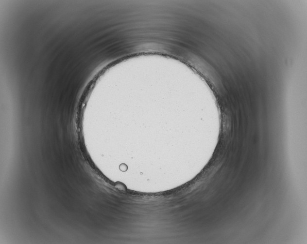 X0000111661068200908281105