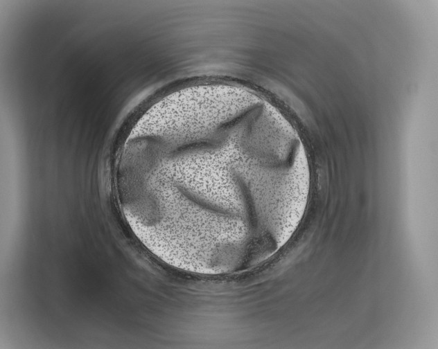 X0000111661069200908281105