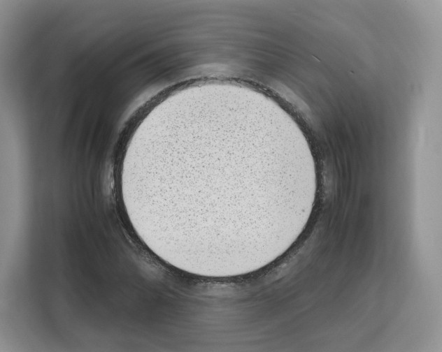 X0000111661070200908281105