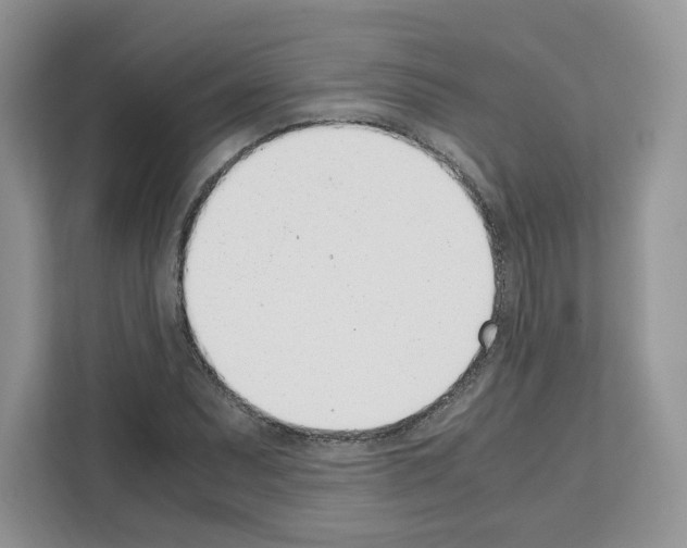 X0000111661071200908281105