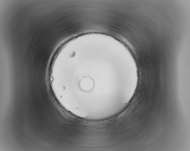 X0000111661072200908281105