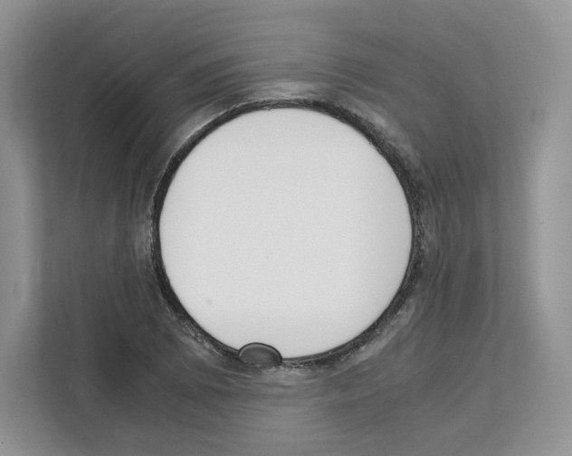 X0000111661073200908281105