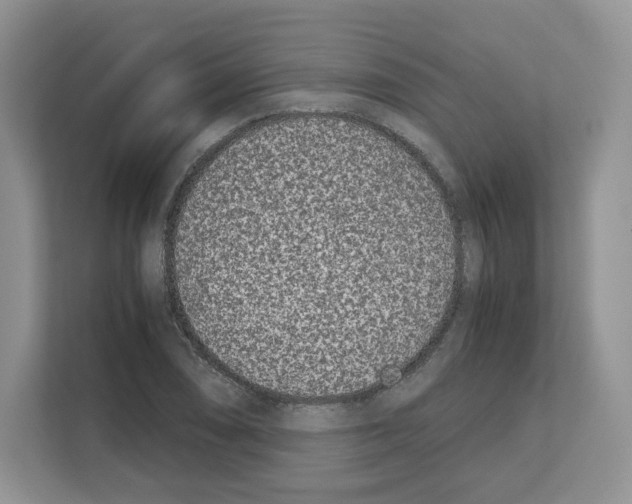 X0000111661074200908281105